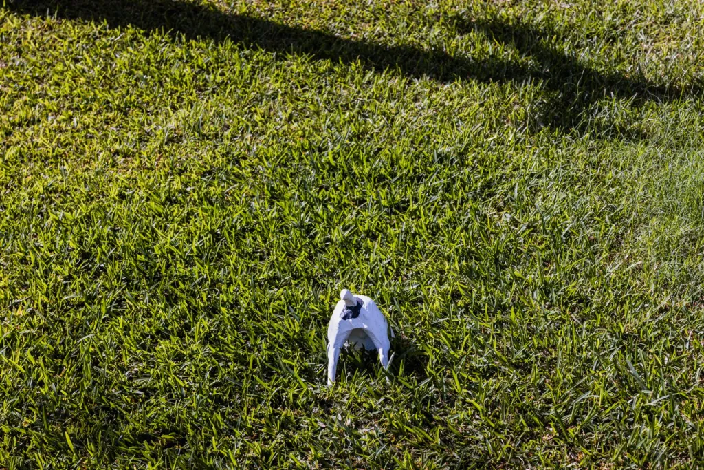 Thoughtful Care for Small Yards