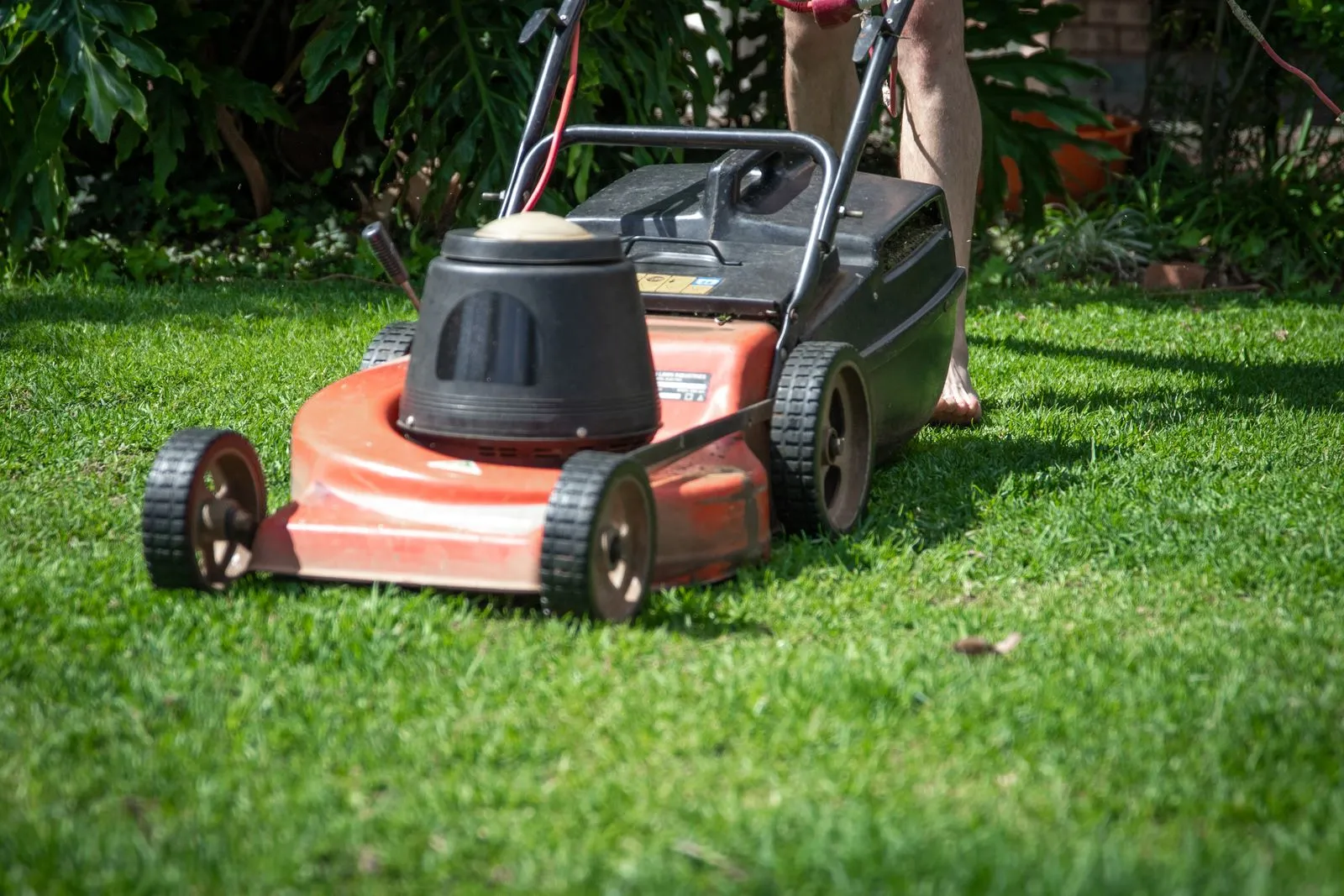How Often Should You Mow a Small Lawn?